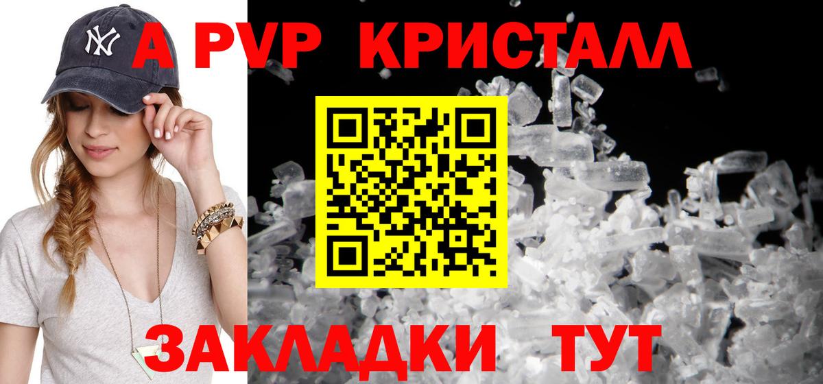 Будённовск  Альфа ПВП крисы CK  Вход с VPN  А ПВП СК КРИС 