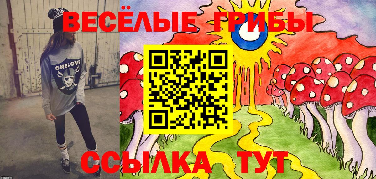 Псилоцибиновые грибы Psilocybine cubensis  Вход с VPN  цена   Галлюциногенные грибы Cubensis  Будённовск 