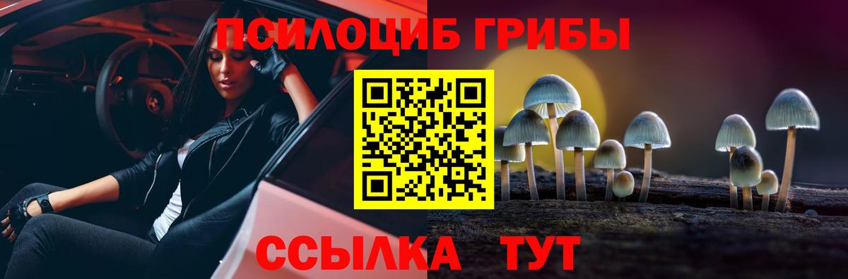 Галлюциногенные грибы Cubensis Будённовск